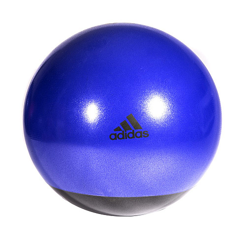 Stability Gymball - 65cm Flash Purple